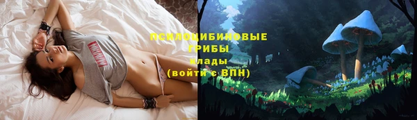 прущая мука Протвино